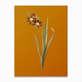 Vintage Ixia Tricolor Botanical on Sunset Orange n.0404 Canvas Print