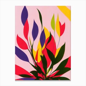Devil’S Ivy Colourful Illustration Plant Canvas Print