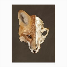 Fox Skull Canvas Print