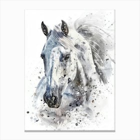 White Horse Canvas Print 1 Canvas Print