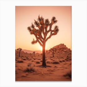  Photograph Of A Joshua Trees At Dawn In Desert 3 Canvas Print