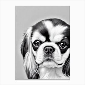 English Toy Spaniel B&W Pencil dog Canvas Print