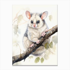 Light Watercolor Painting Of A Common Brushtail Possum 4 Canvas Print