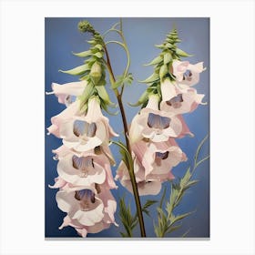 Floral Illustration Delphinium 2 Canvas Print