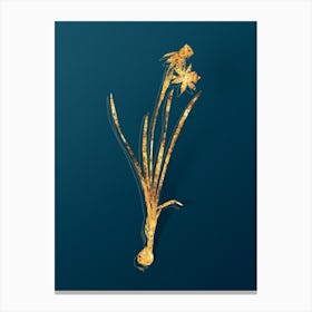 Vintage Narcissus Calathinus Botanical in Gold on Teal Blue Canvas Print