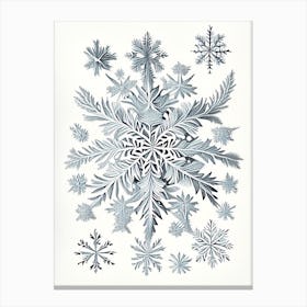 Irregular Snowflakes, Snowflakes, Vintage Botanical Illustration 3 Canvas Print