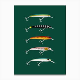 Lure Sardines 1 Canvas Print