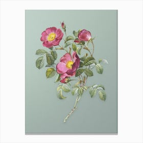 Vintage Rose of Love Bloom Botanical Art on Mint Green n.0193 Canvas Print