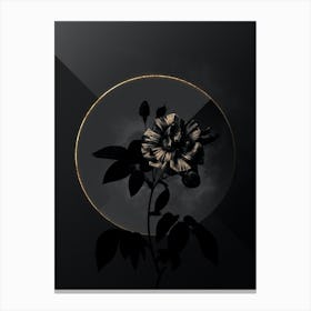 Shadowy Vintage Variegated French Rosebush Botanical on Black with Gold Canvas Print