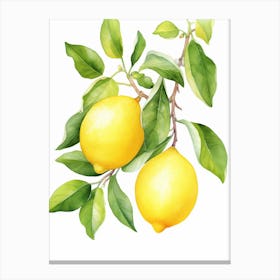 Lemons On A Branch Canvas Print