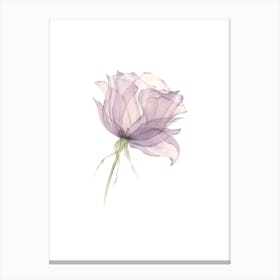 Watercolor Rose Canvas Print