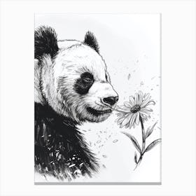 Giant Panda Sniffing A Flower Ink Illustration 4 Canvas Print