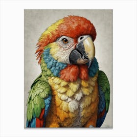 Colorful Parrot 39 Canvas Print