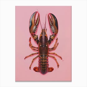 Lobster On Pink Background 2 Canvas Print