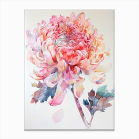 Chrysanthemum 1 Canvas Print