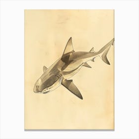 Cookiecutter Shark Vintage Illustration 8 Canvas Print