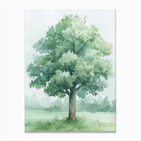 Linden Tree Atmospheric Watercolour Painting 4 Canvas Print