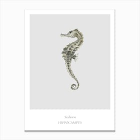 Seahorse Canvas Print