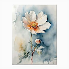 Anemone 5 Canvas Print