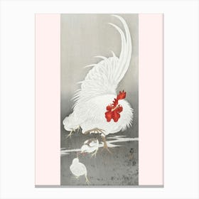 Rooster And Three Chicks (1900 1910), Ohara Koson Canvas Print