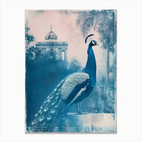 Peacock In A Tropical Garden Cyanotype Inspired Canvas Print