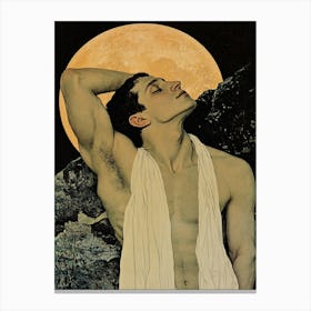 Moonlight 3 Canvas Print