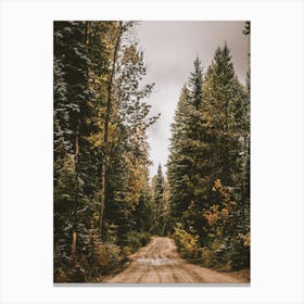 Woodland Forest Road Canvas Print