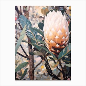 Flower Illustration Protea 3 Canvas Print