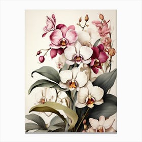 Orchids Flower Illustration Art Print 0 Canvas Print