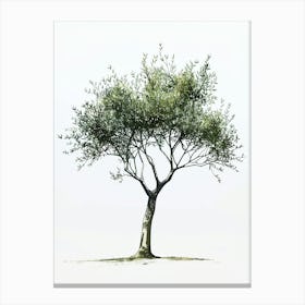 Olive Tree Pixel Illustration 4 Canvas Print