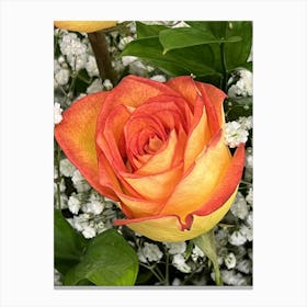 Orange Roses Canvas Print