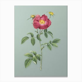 Vintage Stapelia Rose Bloom Botanical Art on Mint Green n.0522 Canvas Print