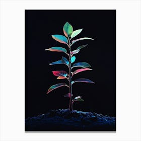 Plant In The Dark 19 Canvas Print