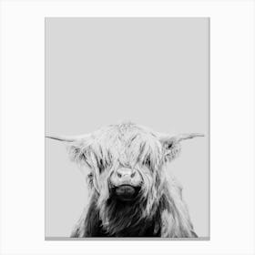 Highland Cow Canvas Print