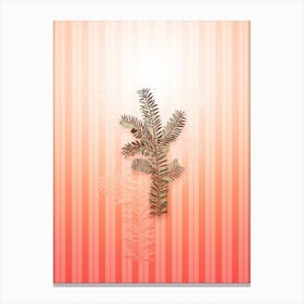 English Yew Vintage Botanical in Peach Fuzz Awning Stripes Pattern n.0162 Canvas Print