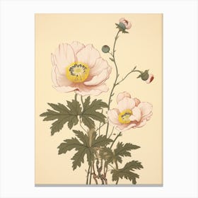 Hanaichige Japanese Anemone 3 Vintage Japanese Botanical Canvas Print