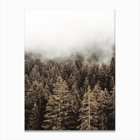 Tall Pine Trees Canvas Print