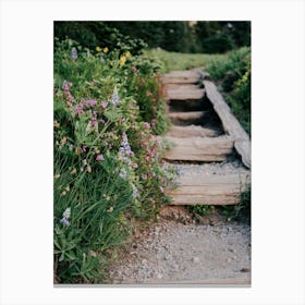 Wildflower Steps Canvas Print