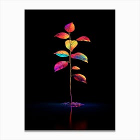 Rainbow Tree On Black Background Canvas Print