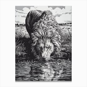 Barbary Lion Relief Illustration Drinking 4 Canvas Print