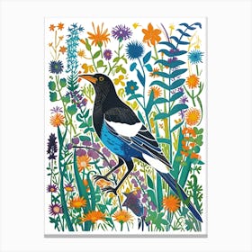 Magpie Canvas Print