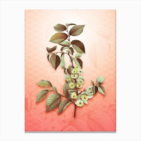 Field Elm Vintage Botanical in Peach Fuzz Hishi Diamond Pattern n.0133 Canvas Print