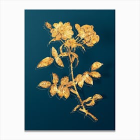 Vintage Lady Monson Rose Bloom Botanical in Gold on Teal Blue n.0179 Canvas Print