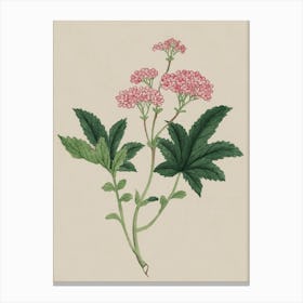 Geranium Canvas Print