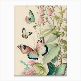 Butterflies On Plants Vintage Pastel 1 Canvas Print