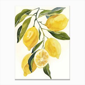 Lemons On A Branch 4 Canvas Print