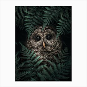 The Owl in Ferns Canvas Print