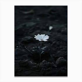 Flower In The Dark 20 Canvas Print