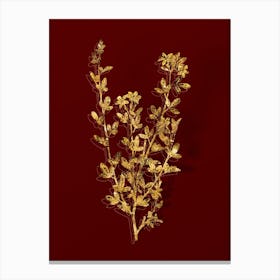 Vintage Yellow Jasmine Flowers Botanical in Gold on Red n.0428 Canvas Print