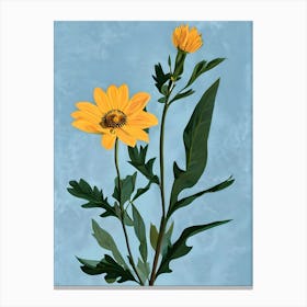 Yellow Daisy Canvas Print